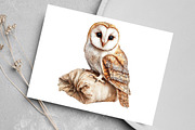 Christmas Barn Owl Clipart, an Illustration by Canvas Craft (Thumbnail 5 of 8)