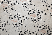 Gorga Type - Elegant Serif Typeface, a Serif Font by VP Fonts (Thumbnail 3 of 18)
