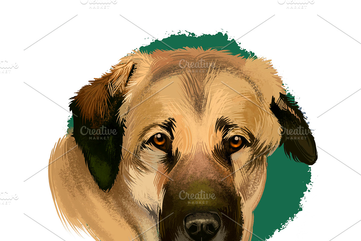 Dogs Pet Portraits Art Print Set 6, an Animal Illustration by Dneprstock (Photo 4 of 5)