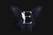 Luxury Letter E with Feather Logo, a Branding & Logo Template by Luxury Logos (Thumbnail 2 of 4)