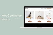 Aspire WordPress Theme, a WordPress Template by KOBA themes (Thumbnail 3 of 6)