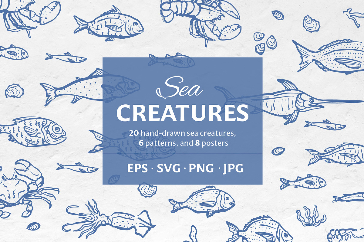 Sea Creatures Set, an Illustration by Checks & Dots (Photo 1 of 4)