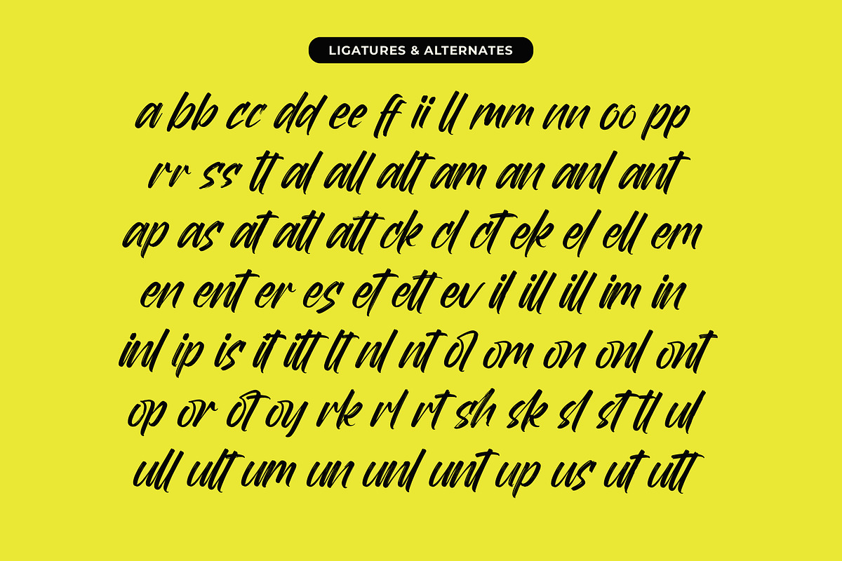 Mirage Factory Bold Brush Font, a Script Font by Letterena Studios Script (Photo 18 of 20)