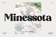 Calfint - Bold Serif Font, a Serif Font by Pekotype (Thumbnail 2 of 13)