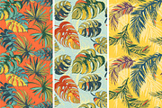 Big Tropical Set: patterns & frames, a Pattern Graphic by VasilkovS (Thumbnail 6 of 7)