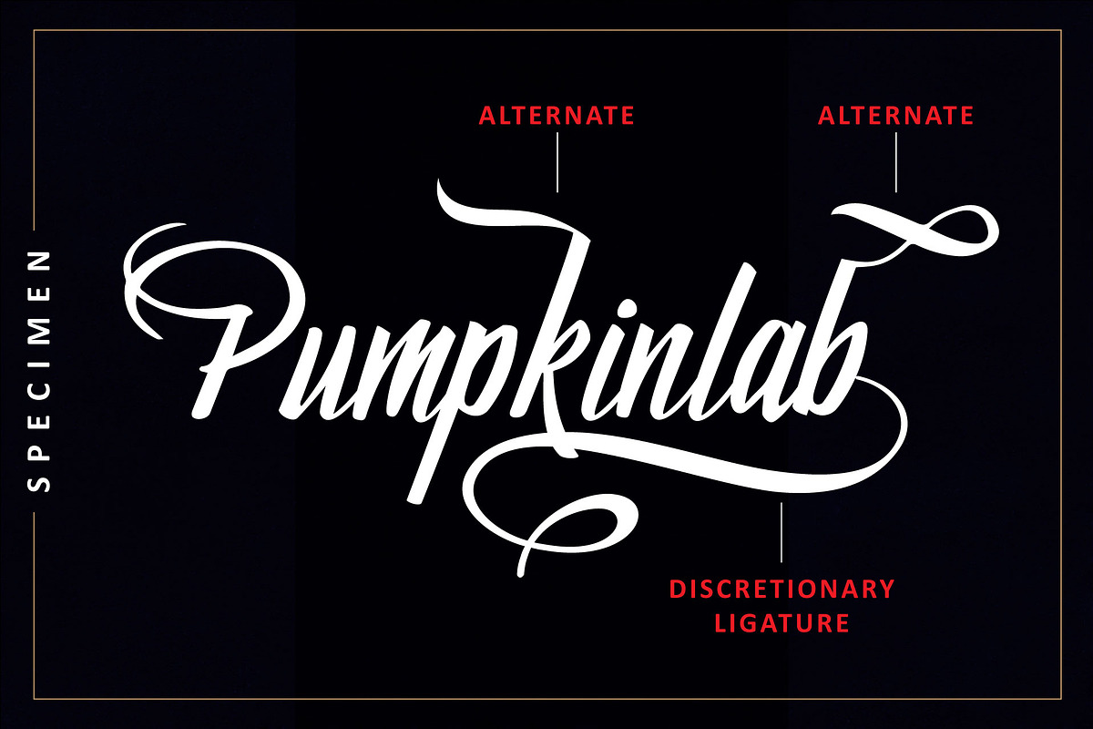 Pumpkinlab | Casual Handwritten Font, a Script Font by Omaikraf Studio (Photo 2 of 8)