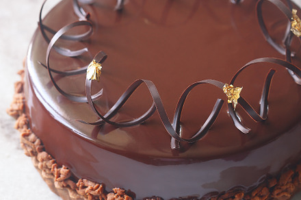 Chocolate Praline Mousse Cake