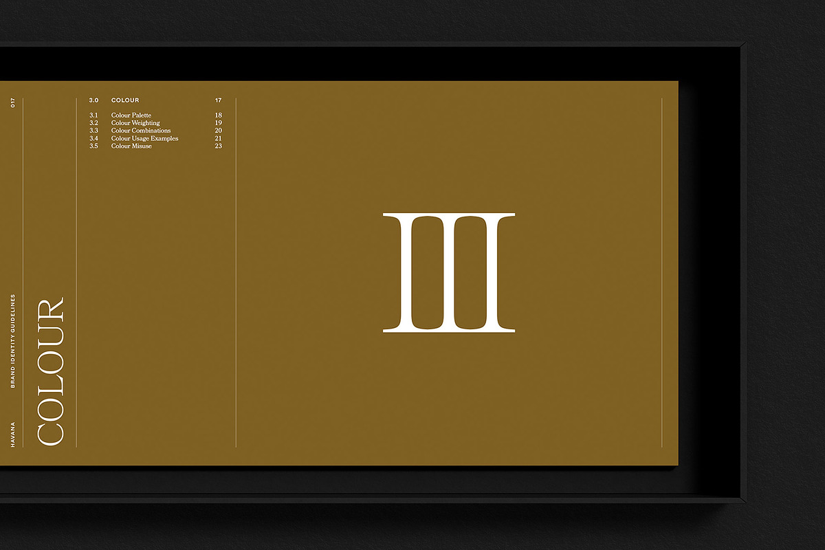 HAVANA / Brand Guidelines Template, a Presentation Template by Circular (Photo 14 of 15)