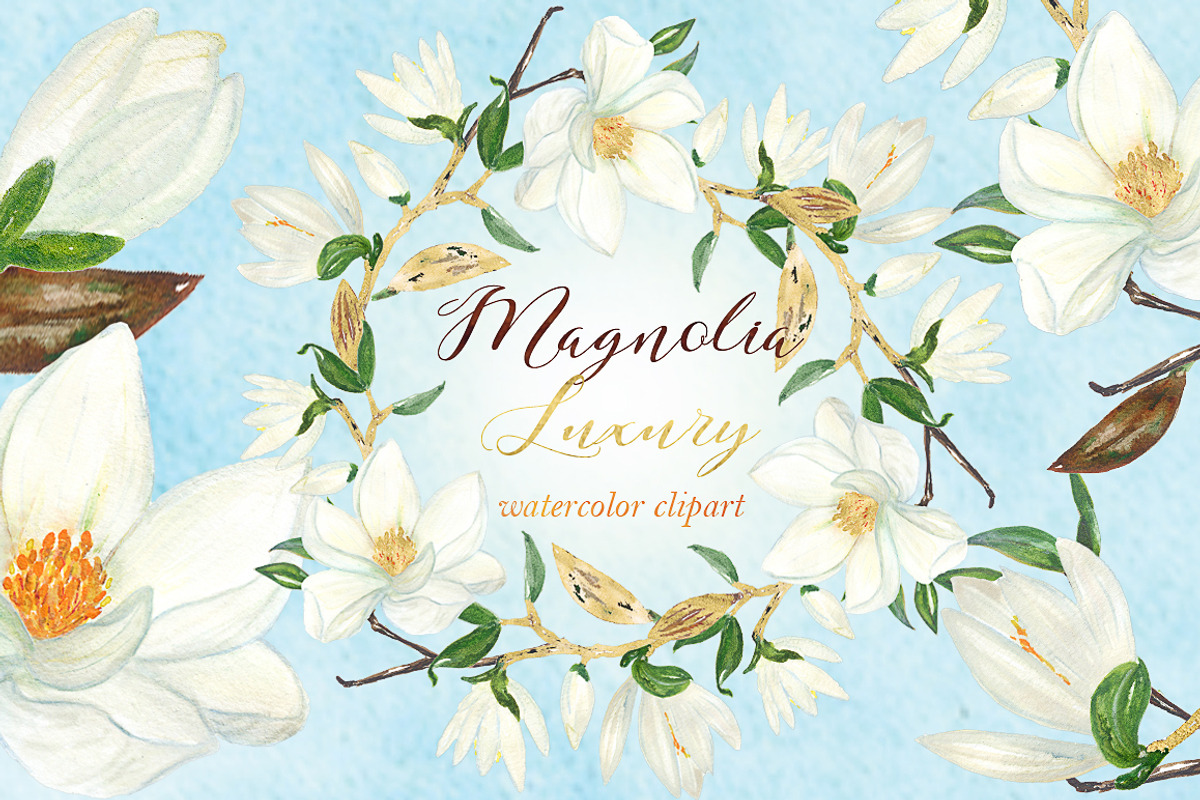 Magnolia white luxury illustrations, an Illustration by LABFcreations (Photo 1 of 5)