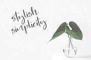 Font Pack & Mini Logo Creator, a Script Font by PeDe Designs (Thumbnail 14 of 22)