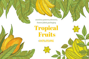 Tropical fruits collection