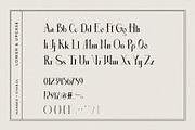 Absolute - Modern Serif, a Serif Font by Nirmana Visual (Thumbnail 7 of 11)