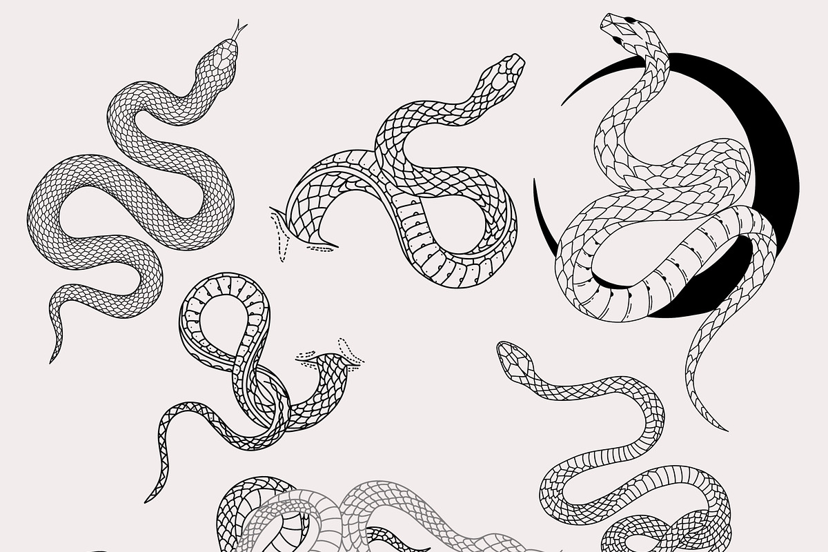 30 Procreate Snake Stamps, a Brush Add-On by Nuclear Brushes (Photo 8 of 10)