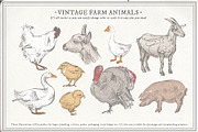 Farm Animals Set, an Object Graphic by Siosay (Thumbnail 7 of 12)