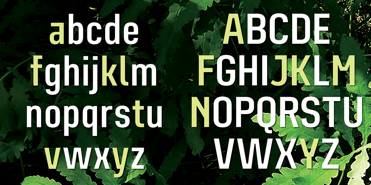 Grandheron Sans, a Sans Serif Font by André Simard (Photo 10 of 13)