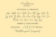Simphony Cinta - Font Duo, a Script Font by Silverdav (Thumbnail 8 of 10)
