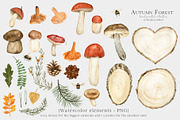Ultimate Autumn Bundle Clipart, an Illustration by WatercolorWind (Thumbnail 3 of 45)