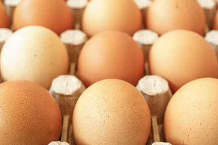 Brown chicken eggs in a cardboard tray on a rustic wood background for farm and, a Food & Drink Photo by Eugene_Photo