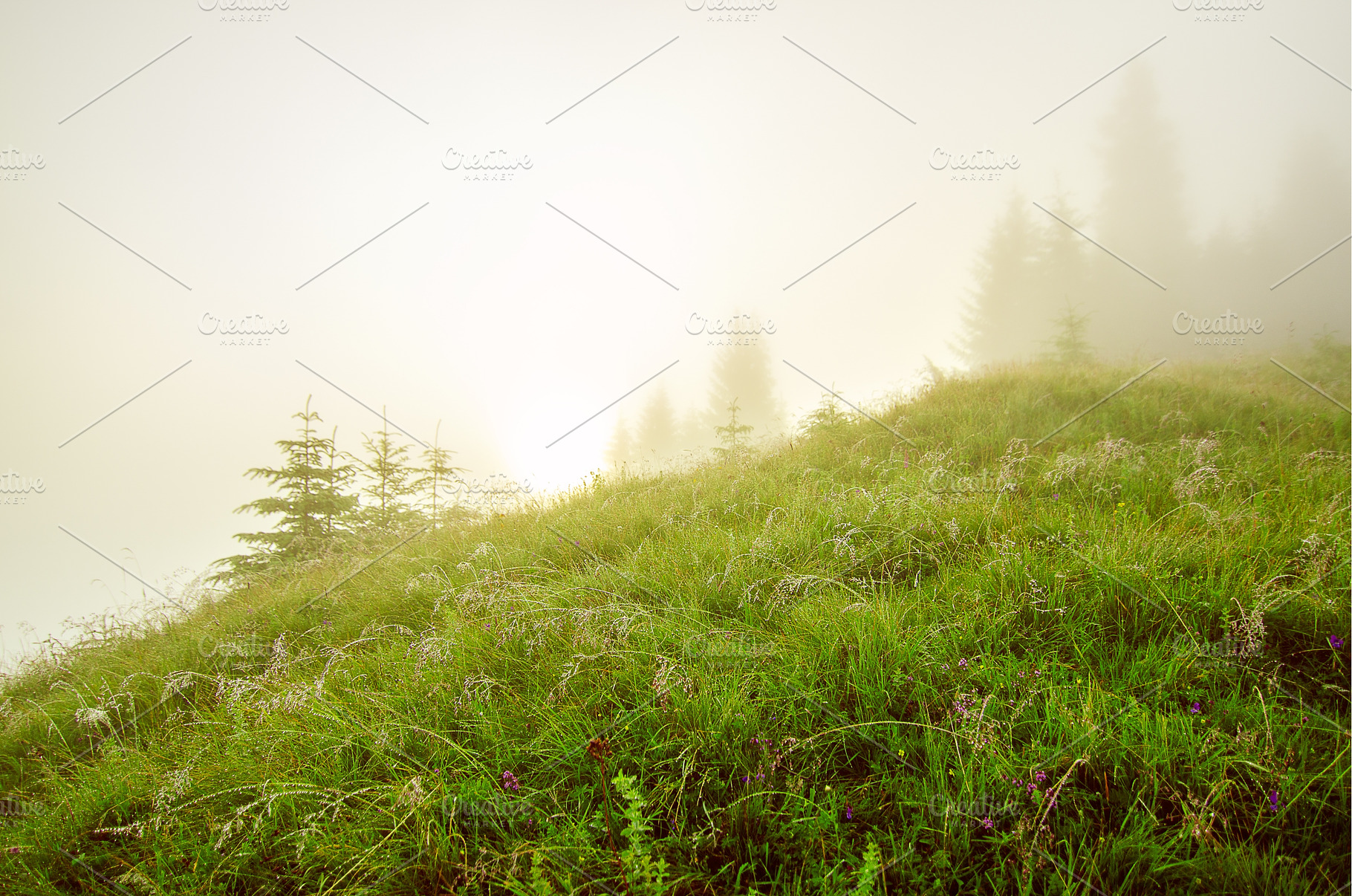 Foggy morning landscape, a Nature Photo by Nature and travel