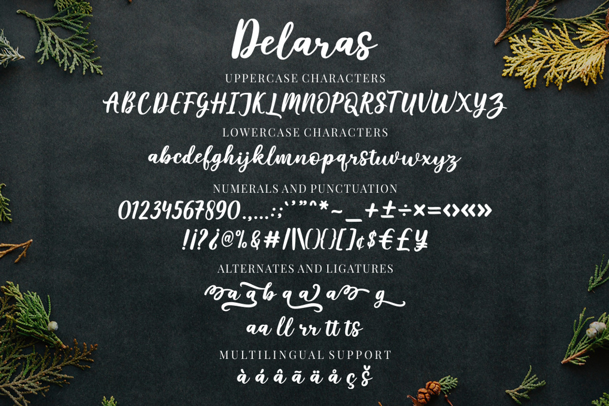 Delaras, a Script Font by Megatype (Photo 9 of 9)