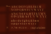 Binger Elegant Serif Font, a Serif Font by Perfectype (Thumbnail 8 of 8)