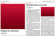Old Style Newspaper Template, a Magazine Template by Newspaper Templates (Thumbnail 10 of 11)