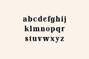 Antigravity Vintage Serif Typeface, a Serif Font by UICreative (Thumbnail 7 of 13)