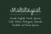 Holiday Market, a Script Font by Bruised Goods (Thumbnail 8 of 11)