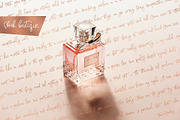 Fashionable Duo Font & Illustr., a Script Font by Designwork (Thumbnail 12 of 20)