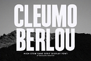 Cleumo Berlou High Stem Sans Font, a Sans Serif Font by Maulana Creative (Thumbnail 1 of 7)
