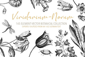 Vintage Engraved Botanical Elements