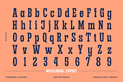 Sanford Region - Variable Font, a Slab Serif Font by Letterhend Studio (Thumbnail 8 of 11)