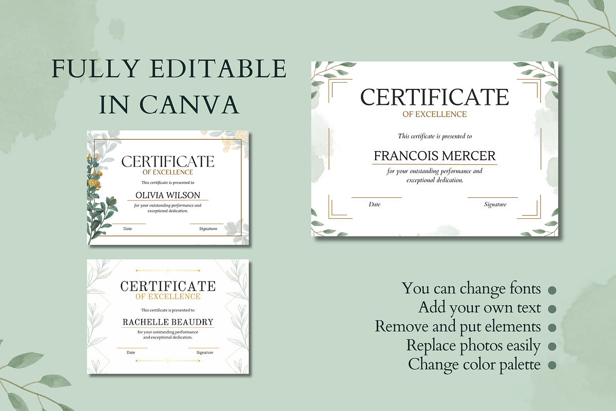 5 Organic Certificates Templates, a Templates & Theme by TemplateCastleStore (Photo 9 of 9)