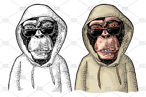 Monkey Hipster In Hoodie