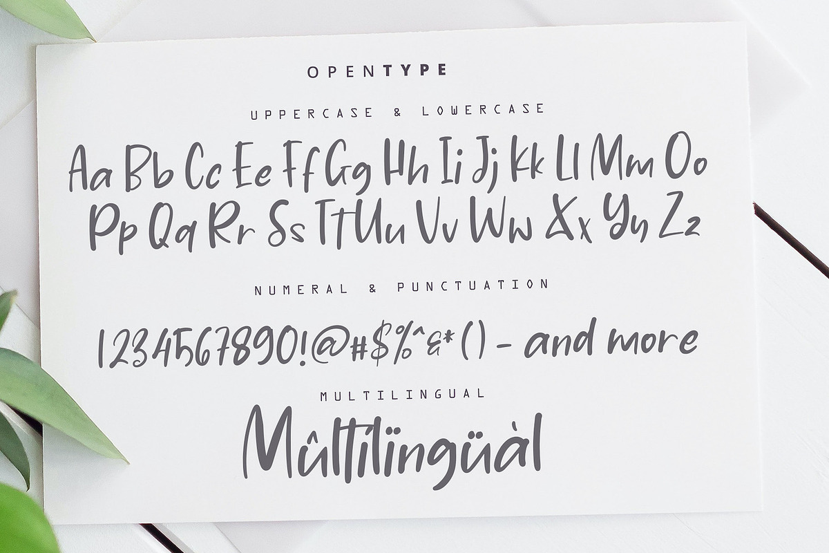 Jasmine Daily - Playful Display Font, a Handwritten Font by StringLabs (Photo 13 of 13)