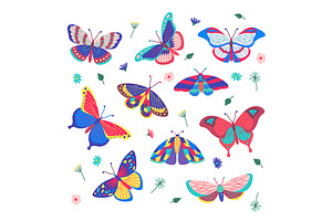 Exotic Butterflies Icons Set. Vector