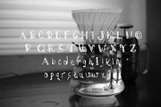 Aprillian Springs, a Script Font by Gblack Id (Thumbnail 6 of 6)