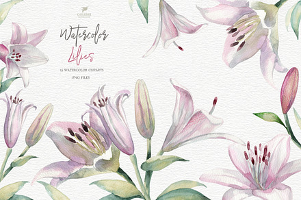 Lilies Watercolor Flower Clip Art