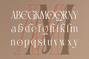 Canindya - Modern Elegant Luxury, a Serif Font by Qweera Studio (Thumbnail 4 of 12)