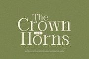 Orlington - Serif Font, a Serif Font by Alpaprana (Thumbnail 2 of 9)