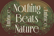 Revalyn – Art Noveau Font, a Serif Font by Craft Supply Co. (Thumbnail 2 of 8)