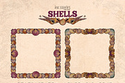 Shells, an Animal Illustration by Ink Stories (Thumbnail 10 of 21)