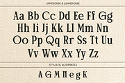 Stylish Serif - Patcher, a Serif Font by Say Studio (Thumbnail 8 of 12)