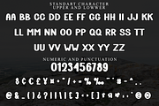 Skydriver, a Script Font by InermediaSTUDIO (Thumbnail 6 of 8)
