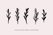 Minimal Watercolor Botanicals, a Decorative Illustration by Kinlake (Thumbnail 2 of 3)