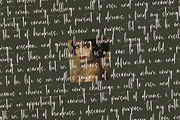 Michelyne Stylish Signature Font, a Script Font by stylishtype.co (Thumbnail 13 of 20)