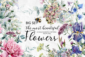 Set of watercolor flowers