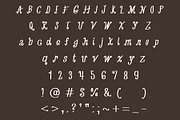 Horseshoe Thick Western Script, a Handwritten Font by Eryn Rose Design (Thumbnail 5 of 11)