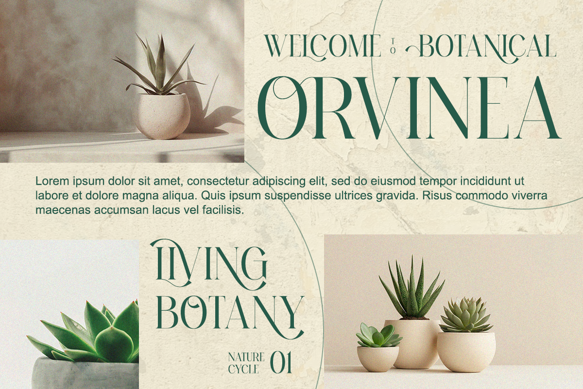 Sesbania - Modern Minimal Branding, a Serif Font by Qweera Studio (Photo 4 of 12)