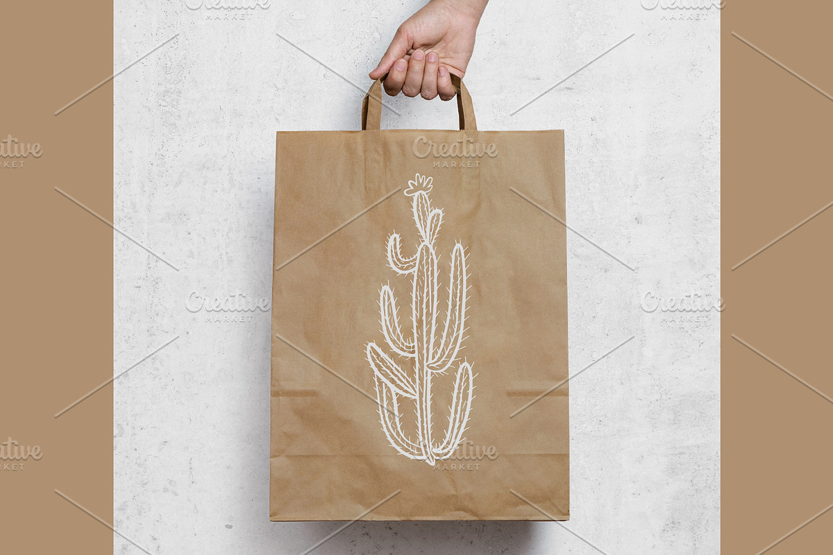 Cactus set, a Background Graphic by IPVector (Photo 8 of 8)